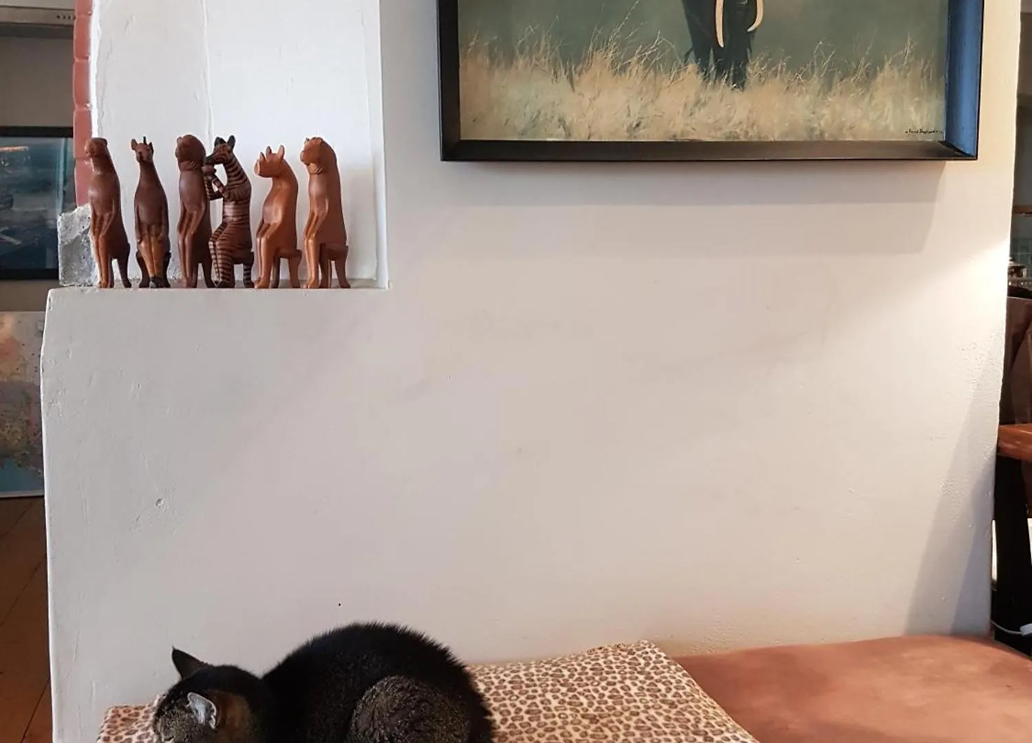 Victorskloof Lodge Hout Bay
